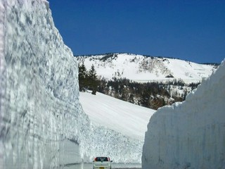 八幡平雪の回廊