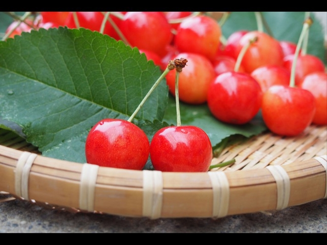 さくらんぼの旬は、6月頃から。まるで宝石のように輝く真っ赤な果実は、甘さと酸味のバランスが絶妙です。