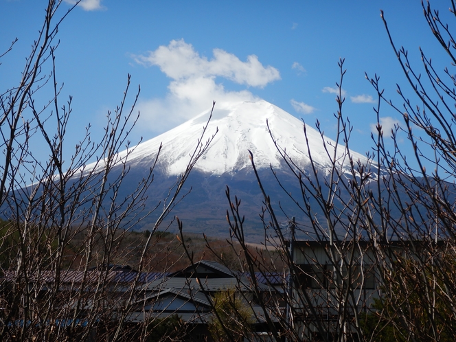 お部屋からの富士山(和室12畳)