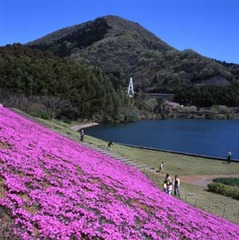 松川湖 湖畔 