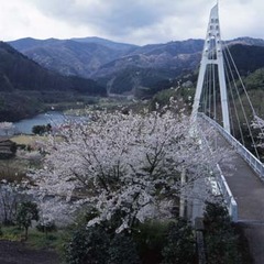 松川湖　吊り橋