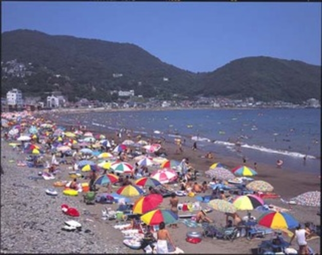 夏の伊東海岸海水浴風景