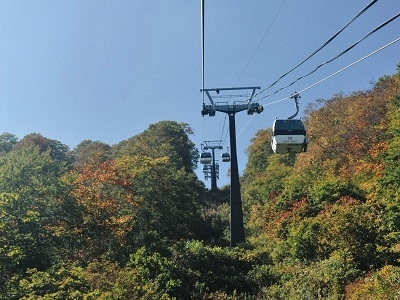 【紅葉】《秋の絶景！》選べるゴンドラチケット♪白馬山麓(五竜・八方・岩岳・栂池）トレッキングプラン