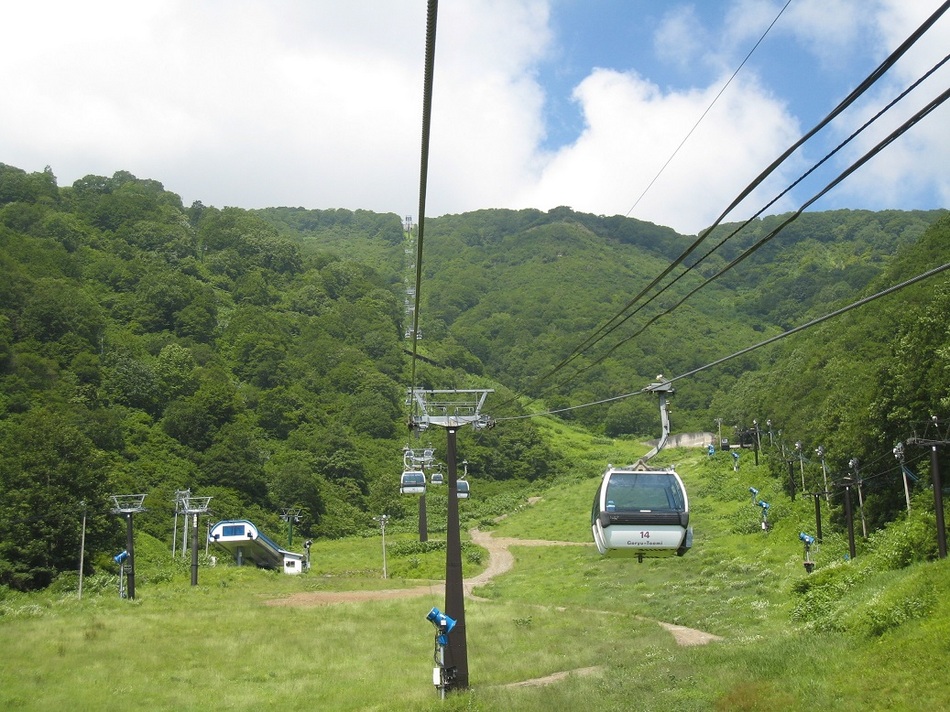 《登山・トレッキング》白馬山麓(五竜・八方・岩岳・栂池）選べるゴンドラチケットプラン