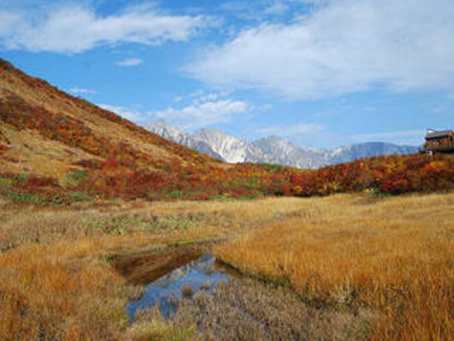 紅葉の八方尾根