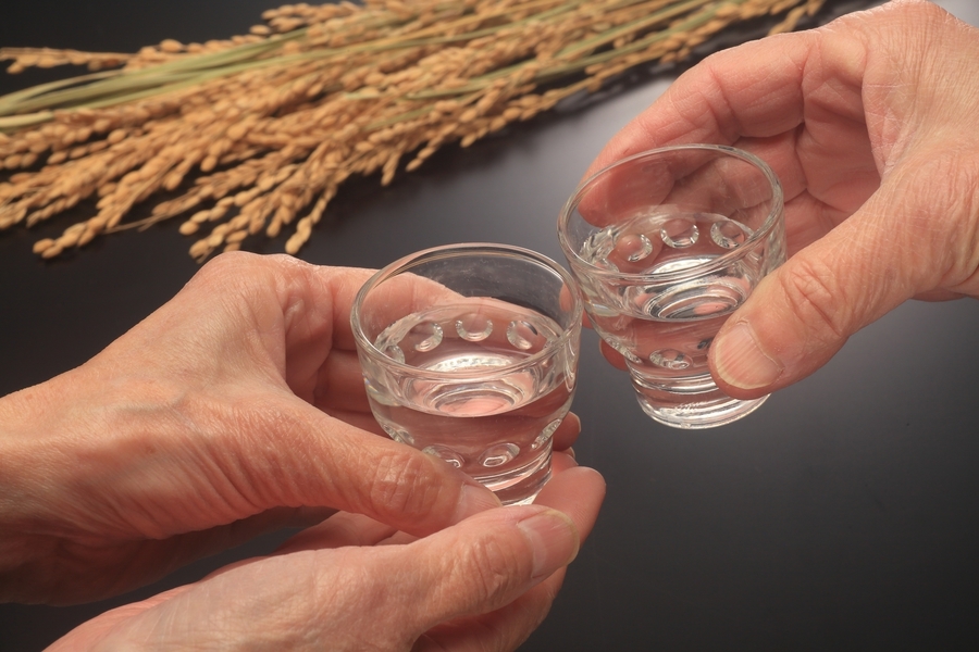 【2/28限定・先着30名・1泊2食付】会津地酒飲み比べと郷土料理、雪の大内宿散策付プラン