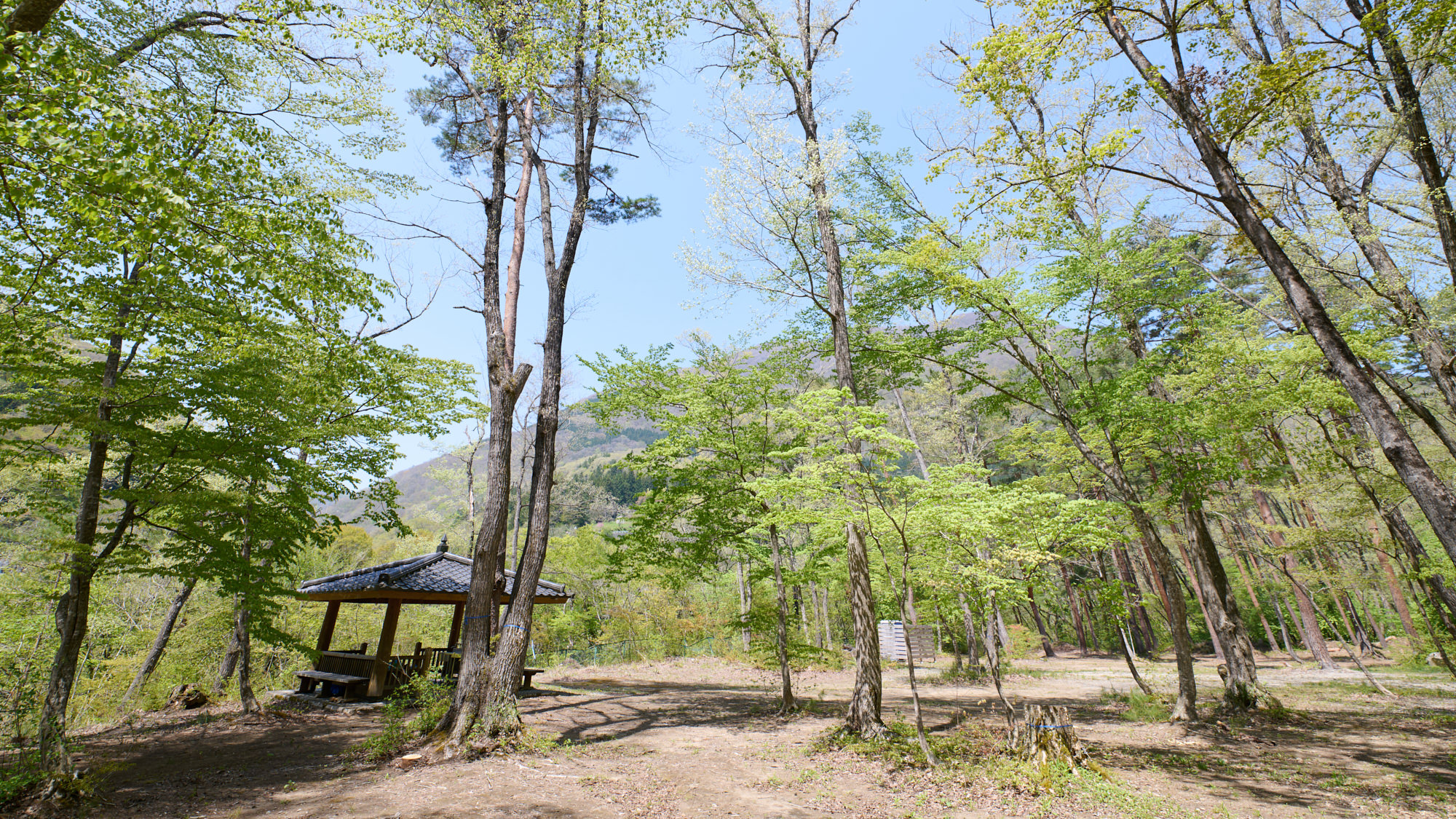 キャンプ場