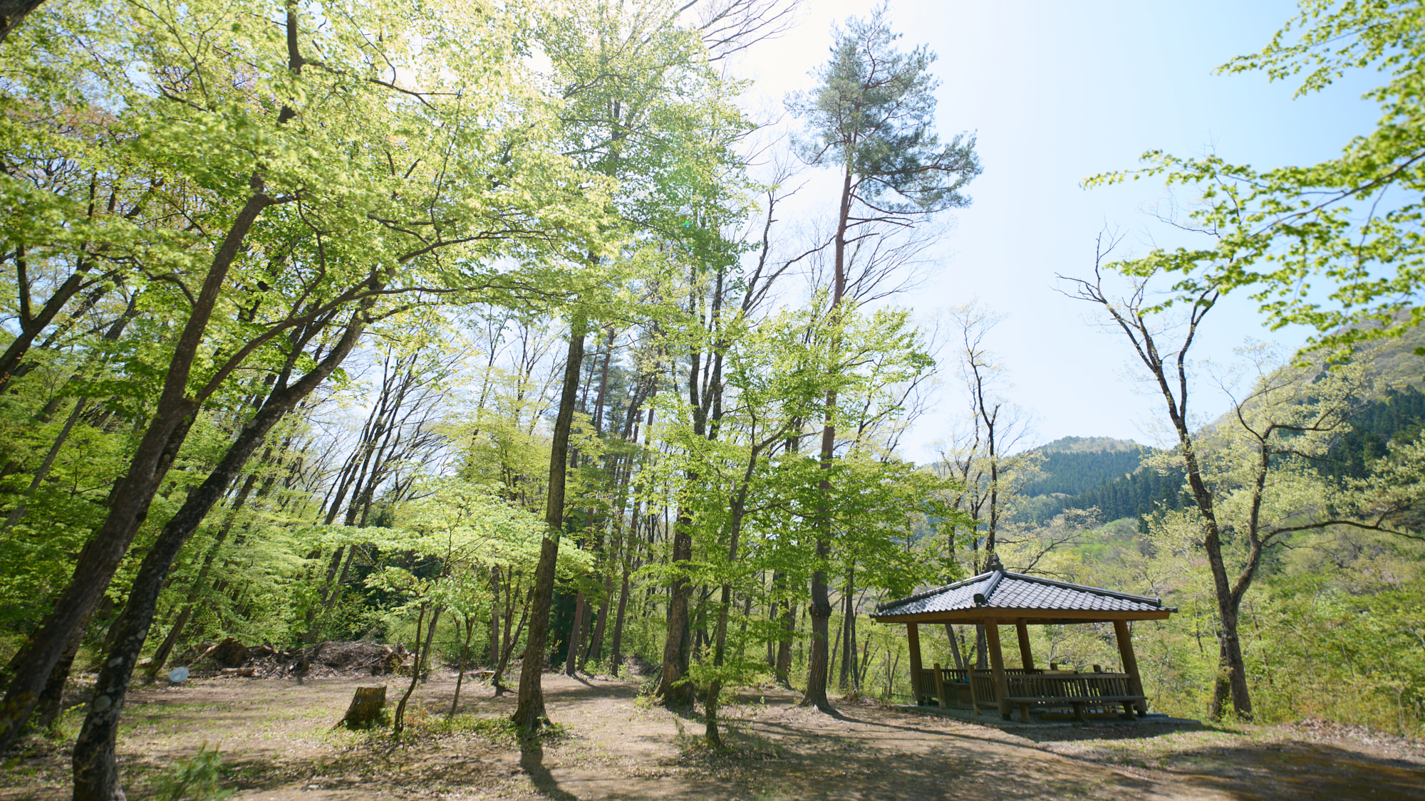 キャンプ場
