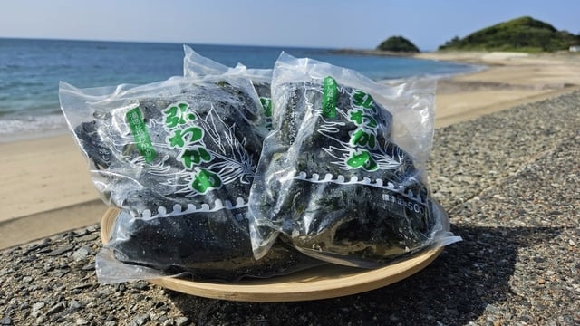 お値段そのままで『弘わかめ』のお土産付玄界灘海鮮ビュッフェプラン（1/4〜）