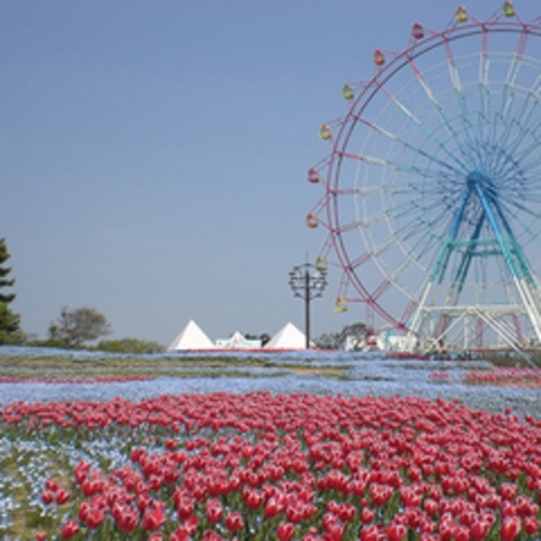 国営『海の中道海浜公園』　四季折々の植物が楽しめます。