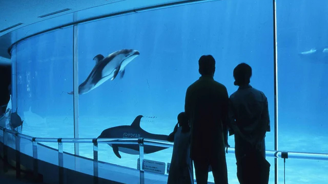 マリンワールド水槽