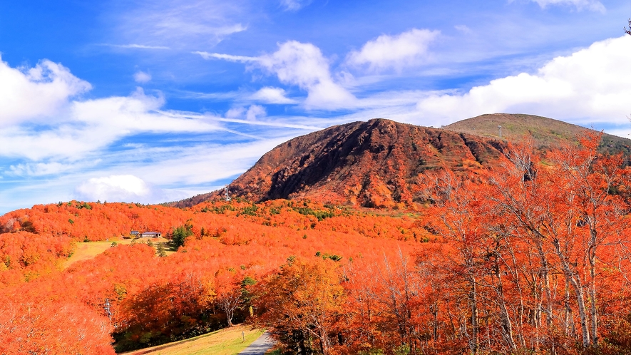 蔵王温泉の紅葉風景