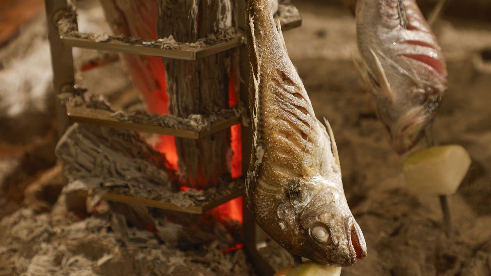 原始焼イメージ季節の鮮魚を炭火でじっくり焼き上げます。
