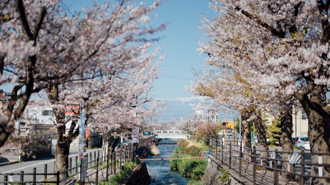 【お部屋からお花見】「さくら温泉通り」側のお部屋をお約束◇さくらワインの特典付♪