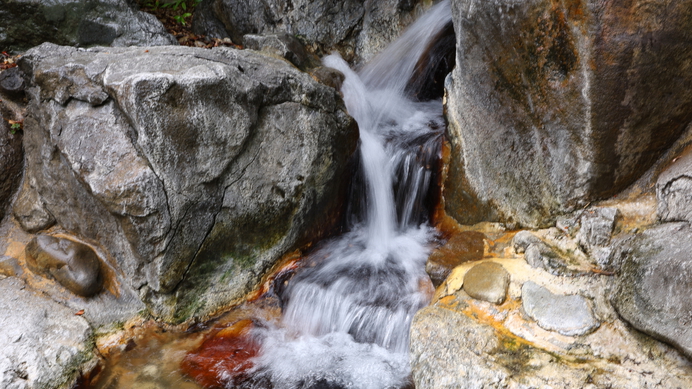  【一人旅歓迎】気軽に山梨満喫！スタンダードプラン+山梨県産グラスワインorぶどうジュース特典付