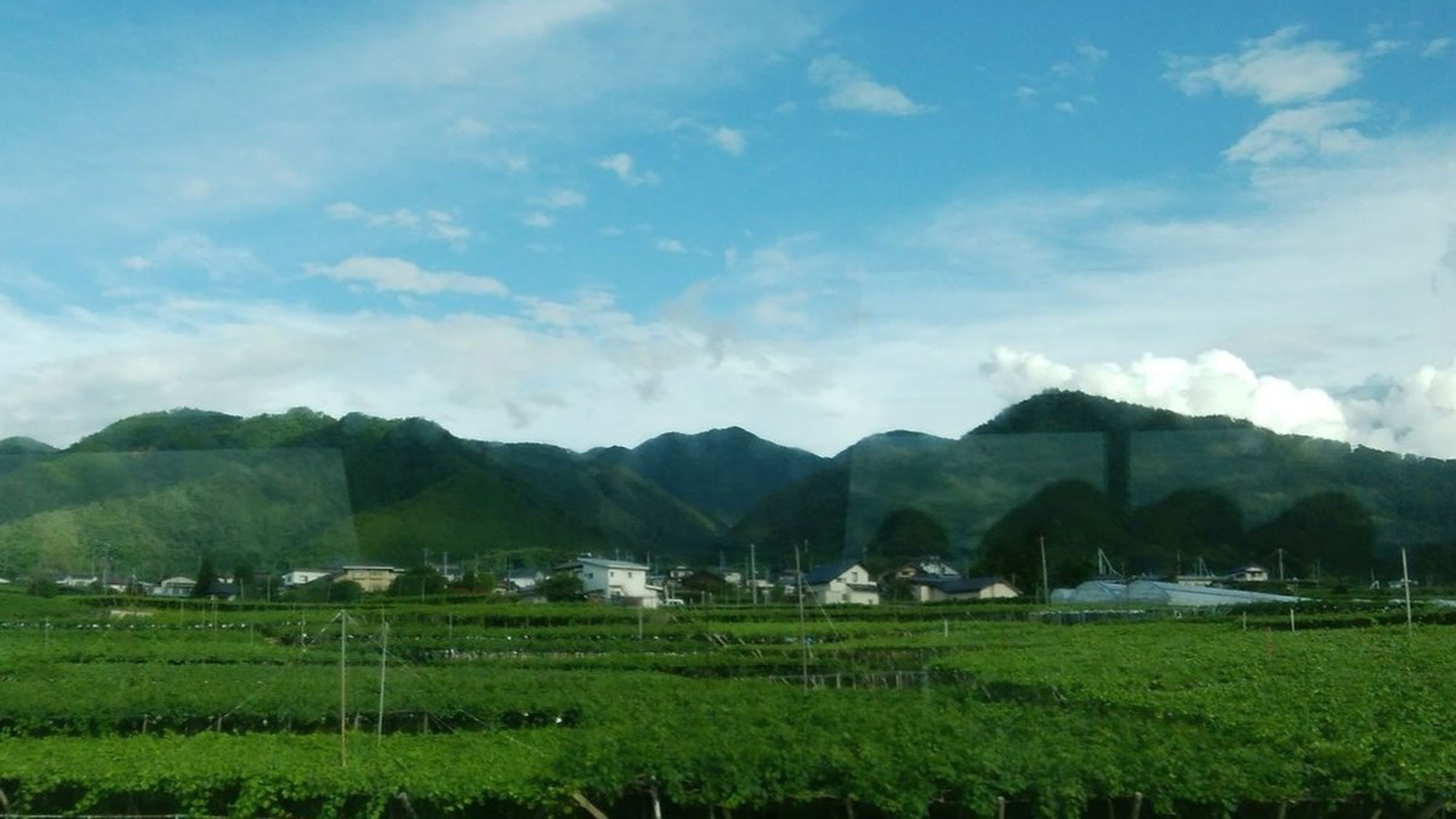 勝沼周辺の景色・夏