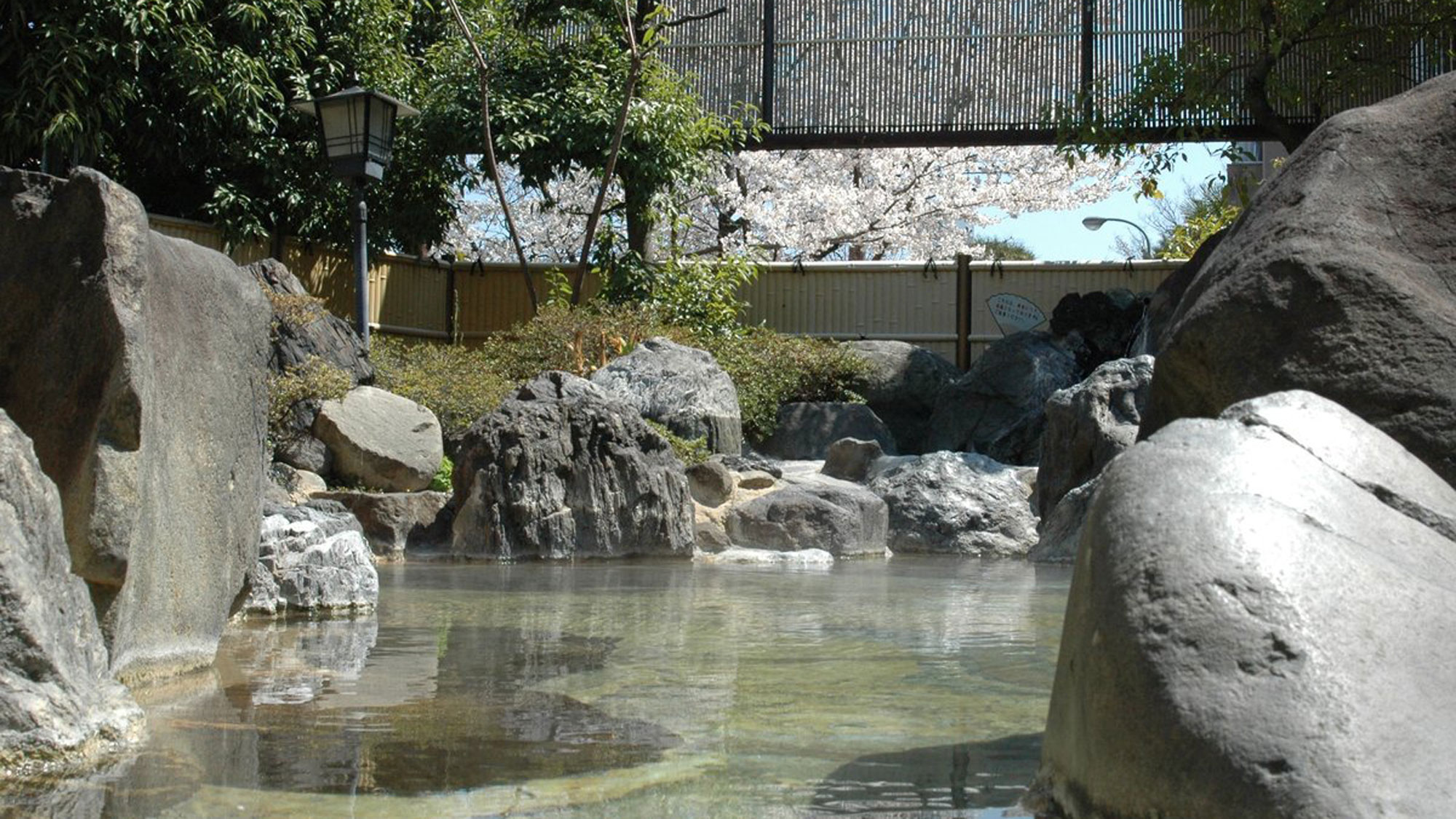 【西館1階】露天風呂（男性用）。桜の季節には「八田の一本桜」をご覧いただけます。