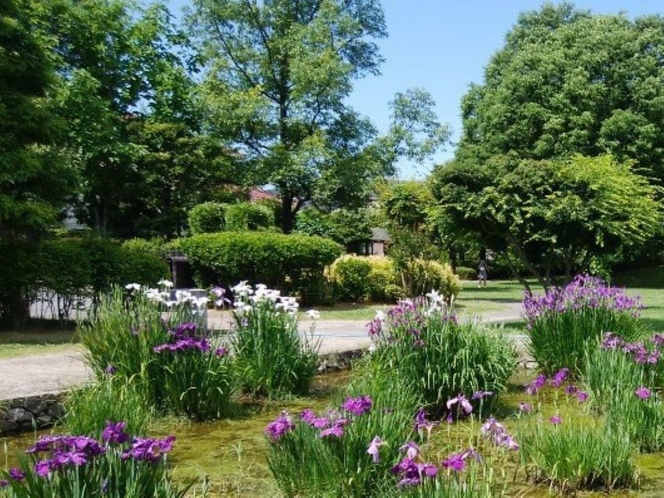 御朱印公園（6月上旬・当館から徒歩で約10分）