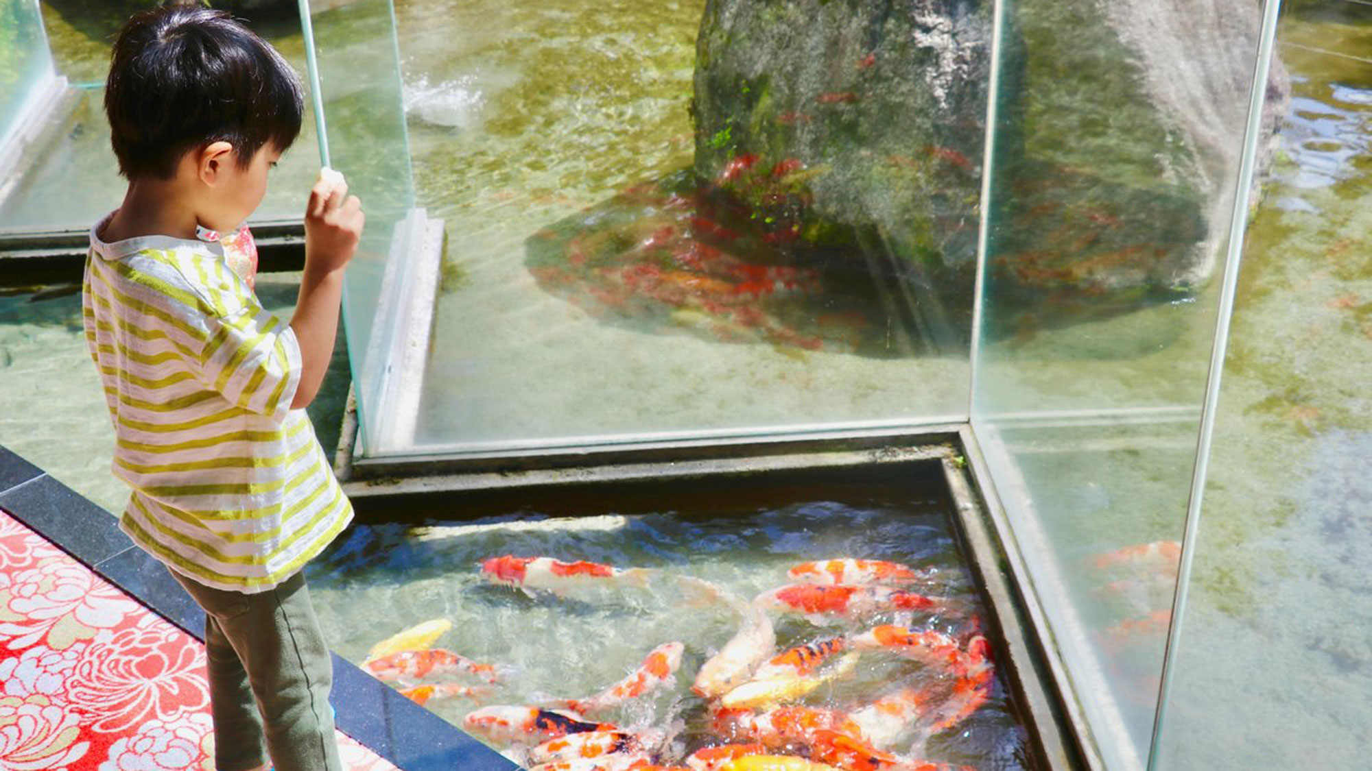 ロビーで出来る鯉のえさやりも人気♪ロビーで出来る鯉のえさやりも人気♪