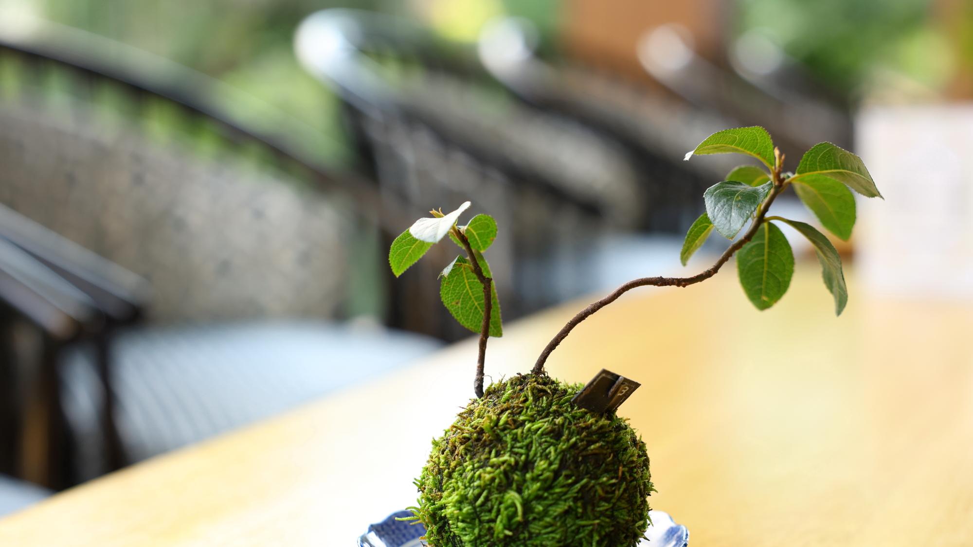 【本館1階】ロビーラウンジ