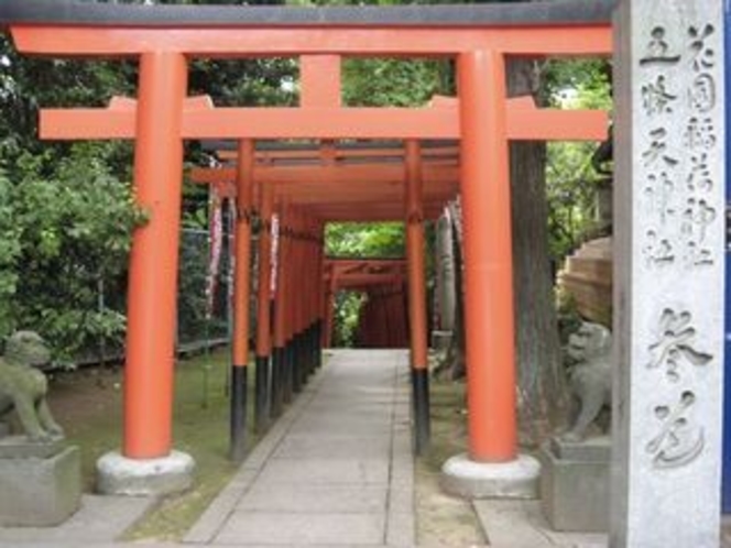 上野 花園神社