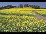 佐世保第一ホテル - 写真 62