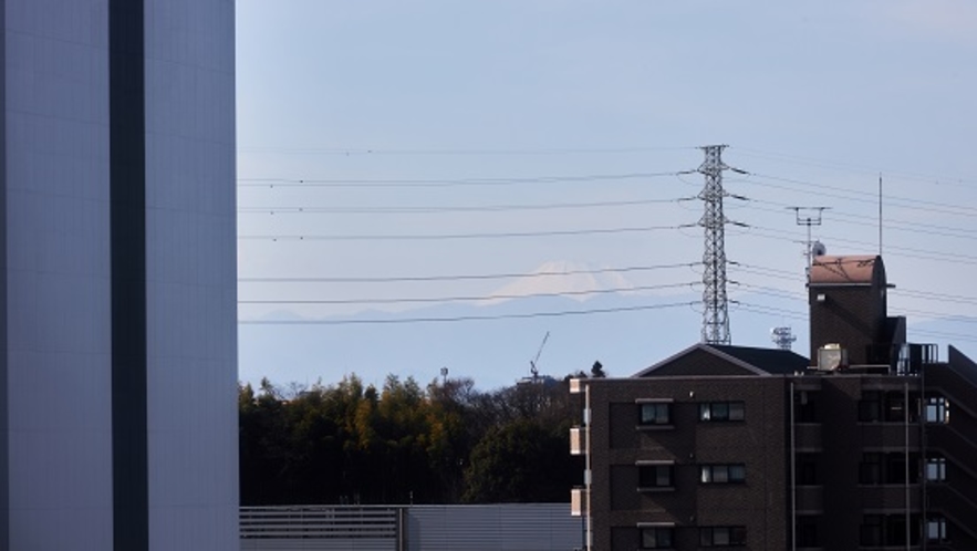 富士山が見えます！