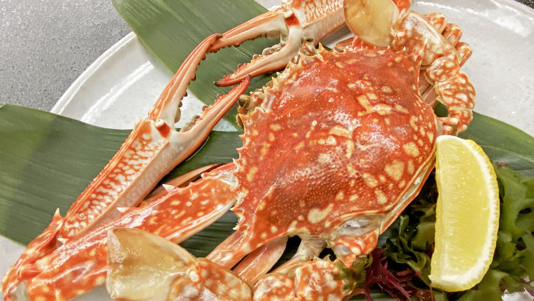 五感で楽しむ亀屋の自慢料理≪ガザミと穴子一本揚げ会席≫（4月〜9月）