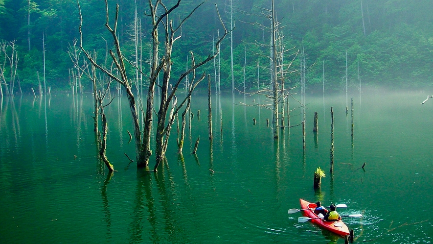 ◆自然湖ネイチャーカヌーツアー　深い森に囲まれ、ゆるやかな時間、水のゆらぎを感じる森林浴カヌーツアー