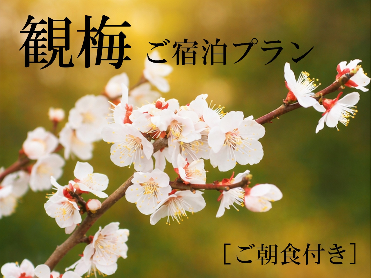 【大好評!!】観梅宿泊プラン2026〜ご朝食付き〜