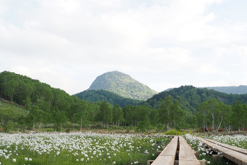 信州の山が好き！登山口まで送迎します！志賀高原登山・ハイキングプラン【3食付き】「信州おにぎり弁当」