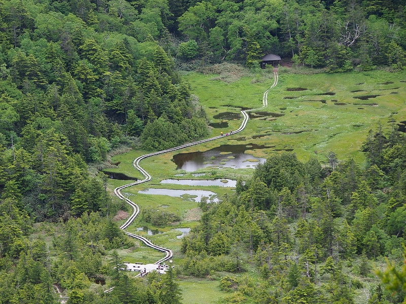 信州の山が好き！登山口まで送迎します！志賀高原登山・ハイキングプラン【3食付き】「信州おにぎり弁当」
