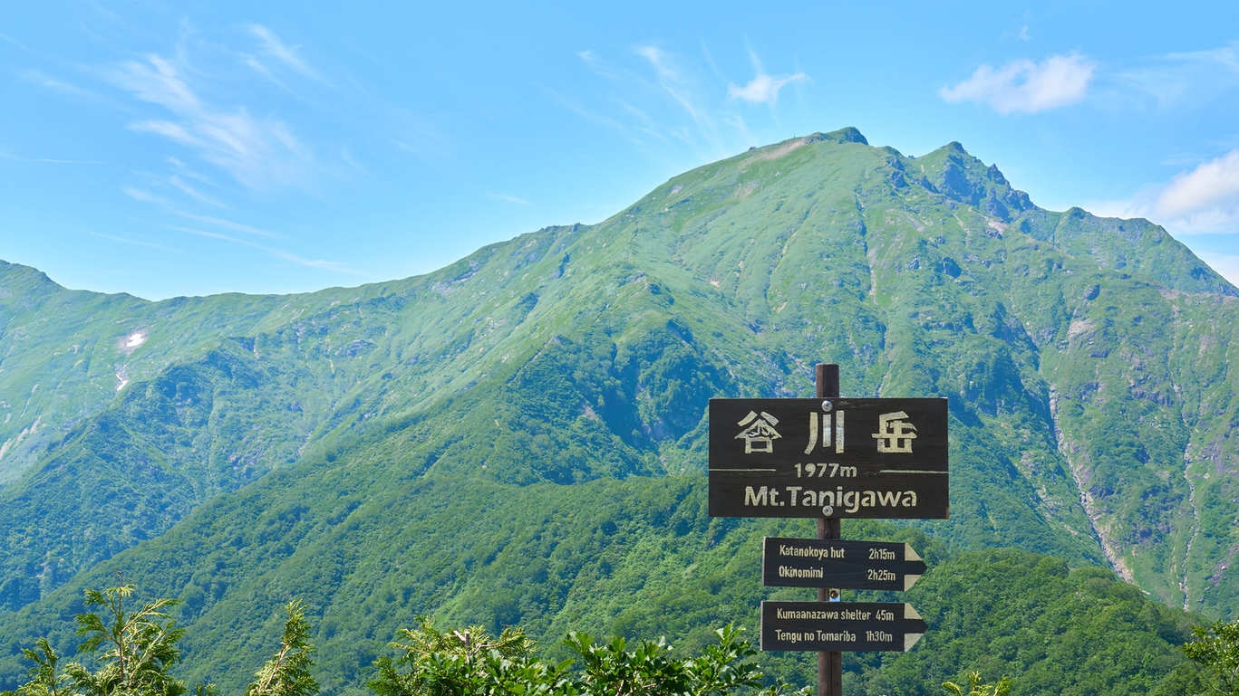 谷川岳天神平へ空中散歩♪谷川岳ヨッホ・ロープウェイチケット付！作りたてを味わうブッフェ＆フリーフロー