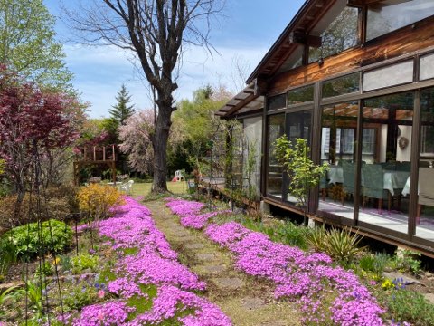 春の花道