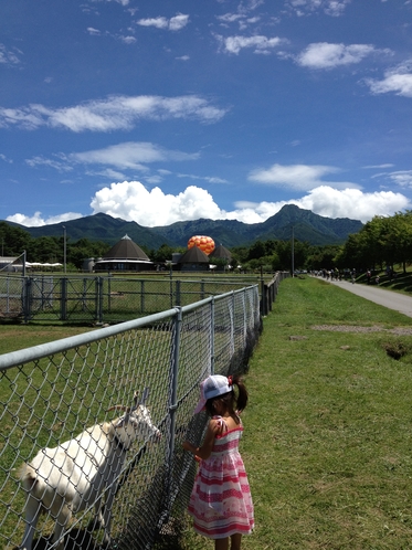 近くの夏の八ヶ岳農場にて