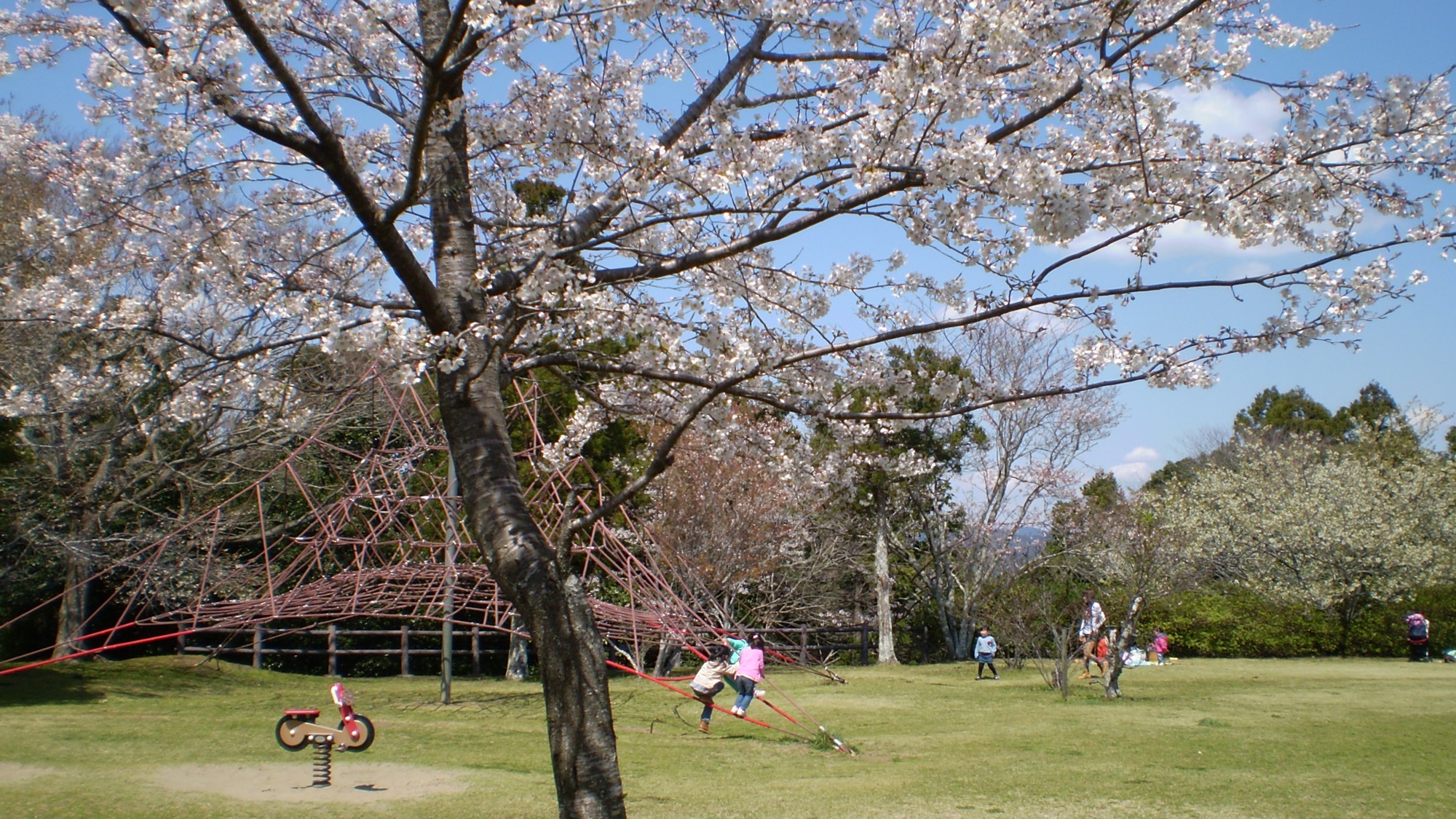 *当館のすぐ裏は、一戦場スポーツ公園／春の芝生広場♪