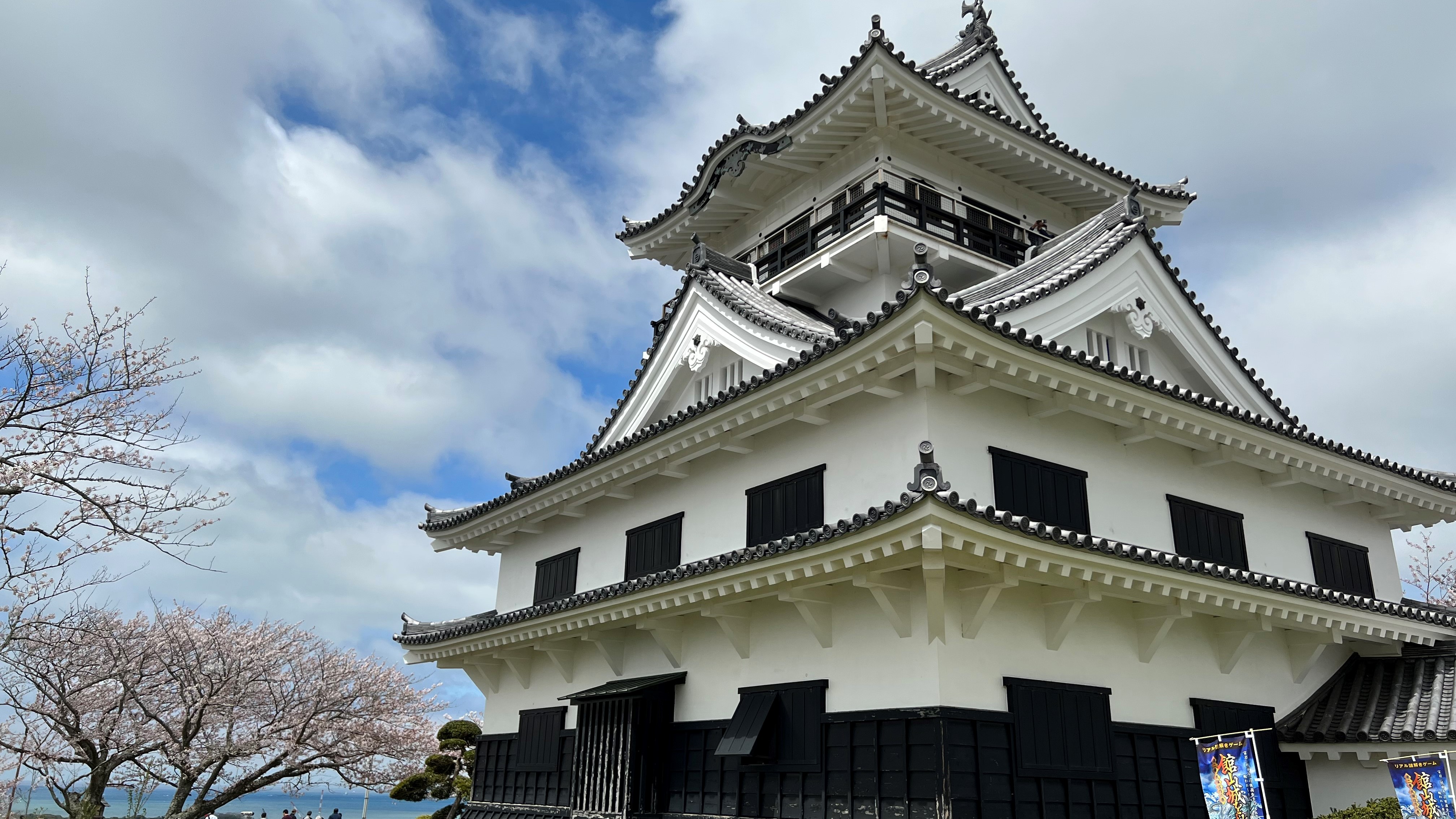 城山公園館山城の桜