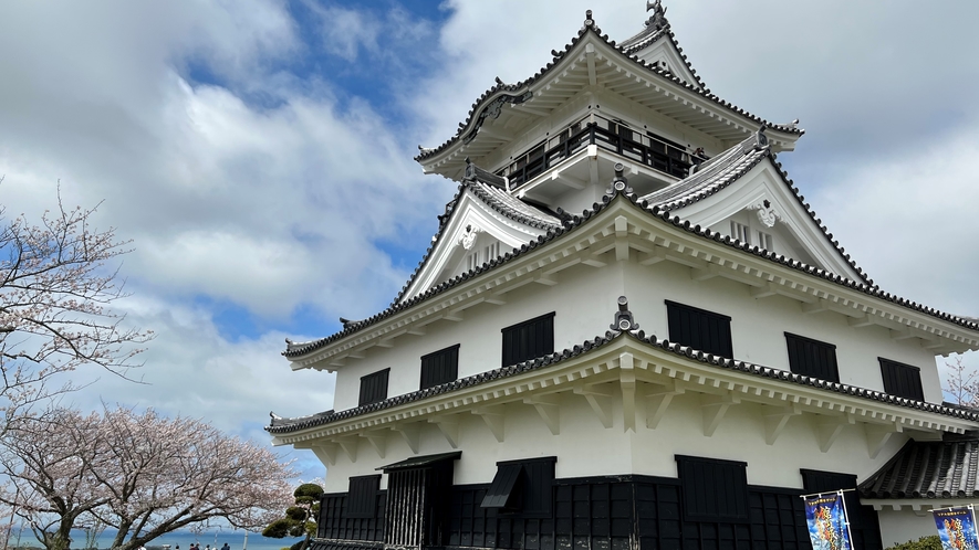 城山公園館山城の桜