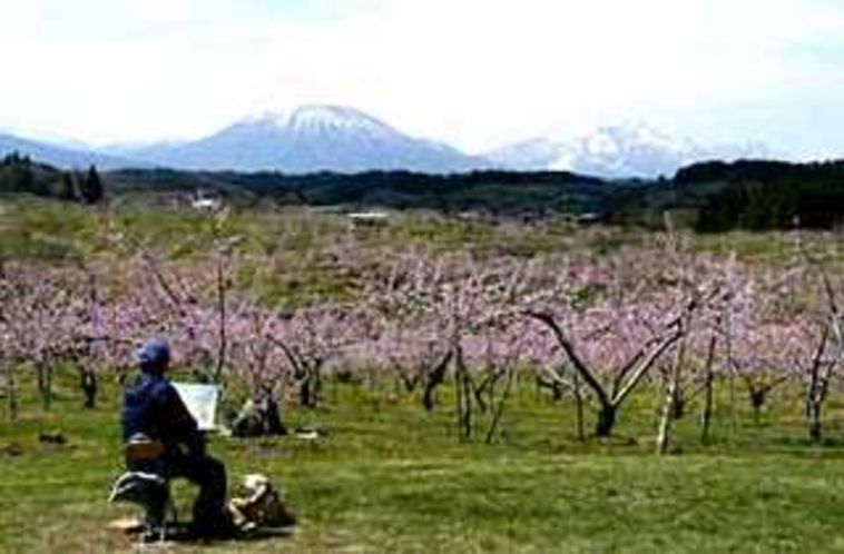 牟礼 丹霞郷桃の花