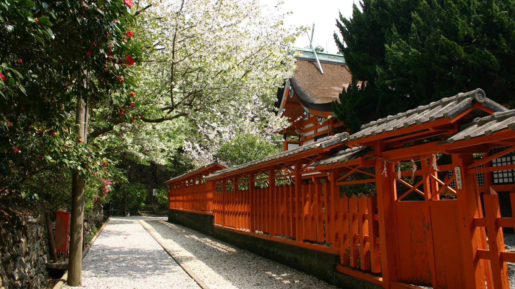 早吸日女神社　画像提供：ツーリズム大分