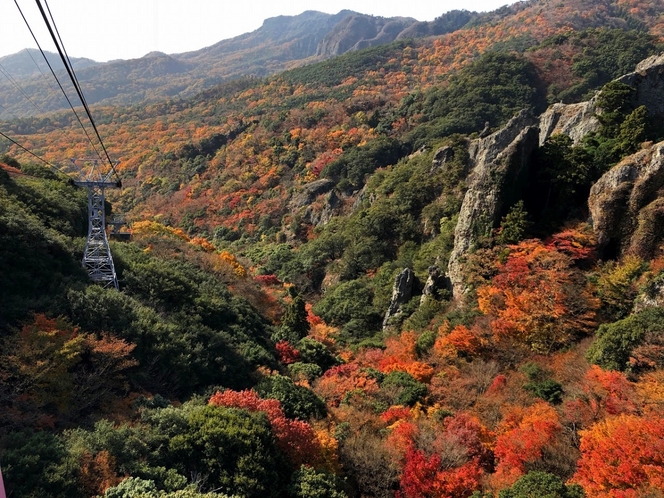 秋の寒霞渓