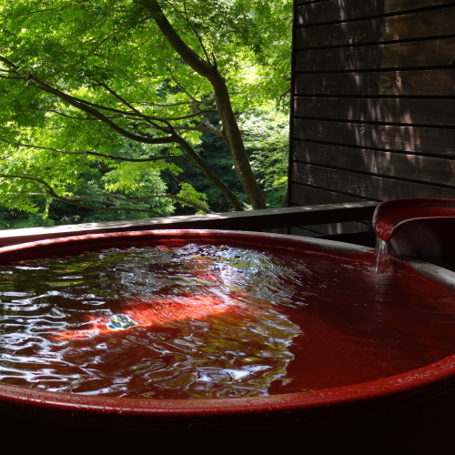 『そうだ！温泉に行こう♪』思い立ったが吉日！卵水温泉でのんびり！【露天風呂付客室・素泊まりプラン】