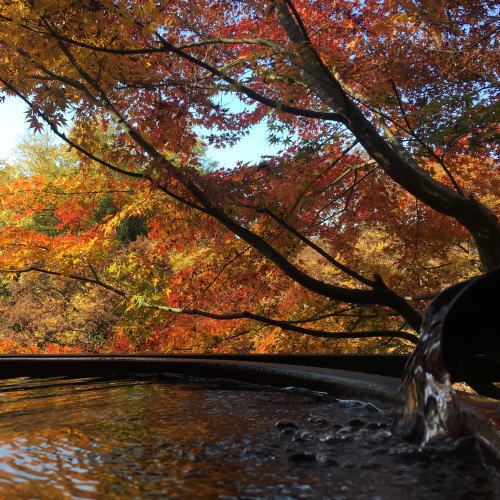 【紅葉】の秩父へ！山の最高の季節♪客室露天に浸かって紅葉をひとり占め♪ワインと足袋の特典付