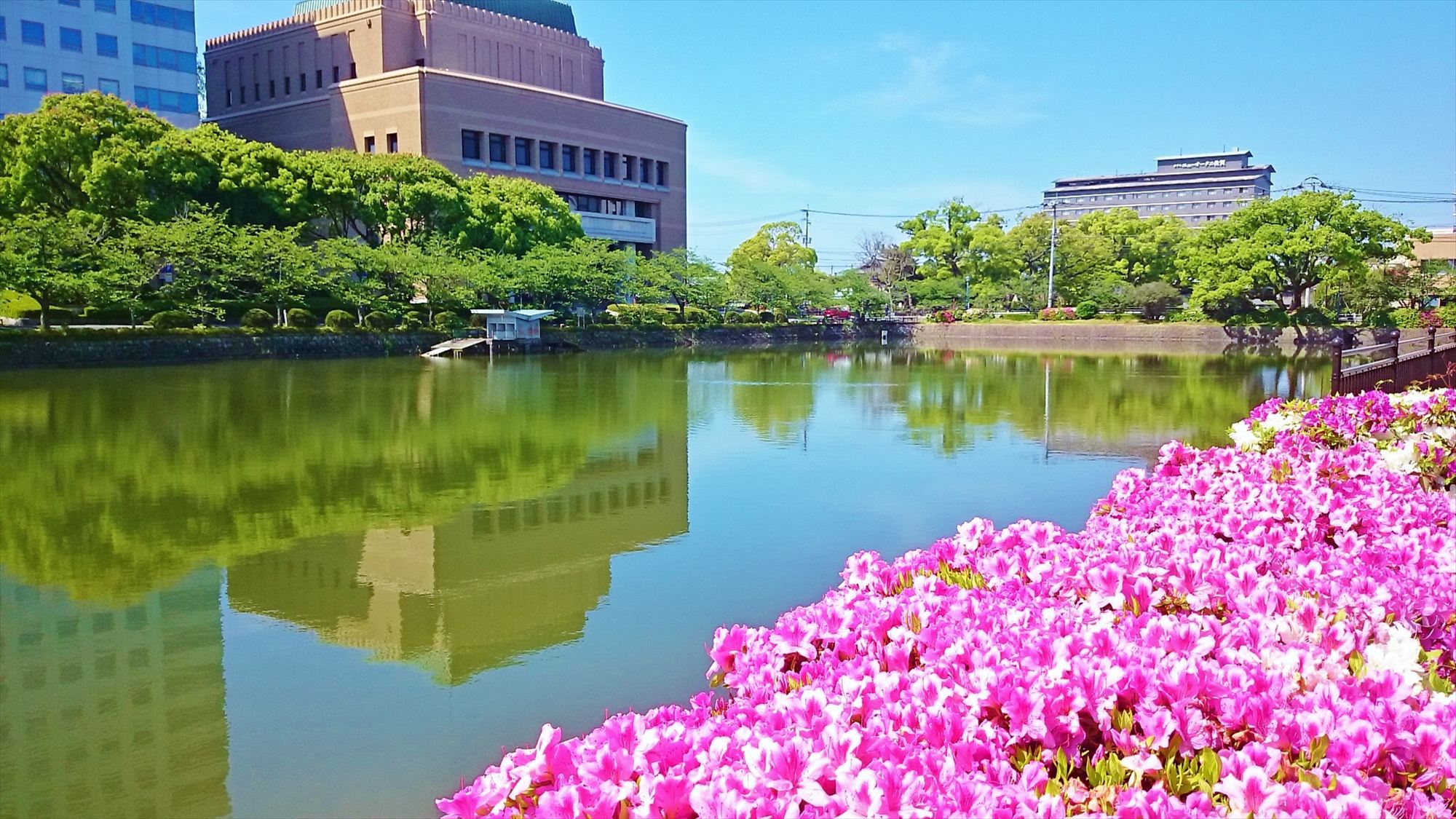 ホテル周辺遊歩道（春イメージ）