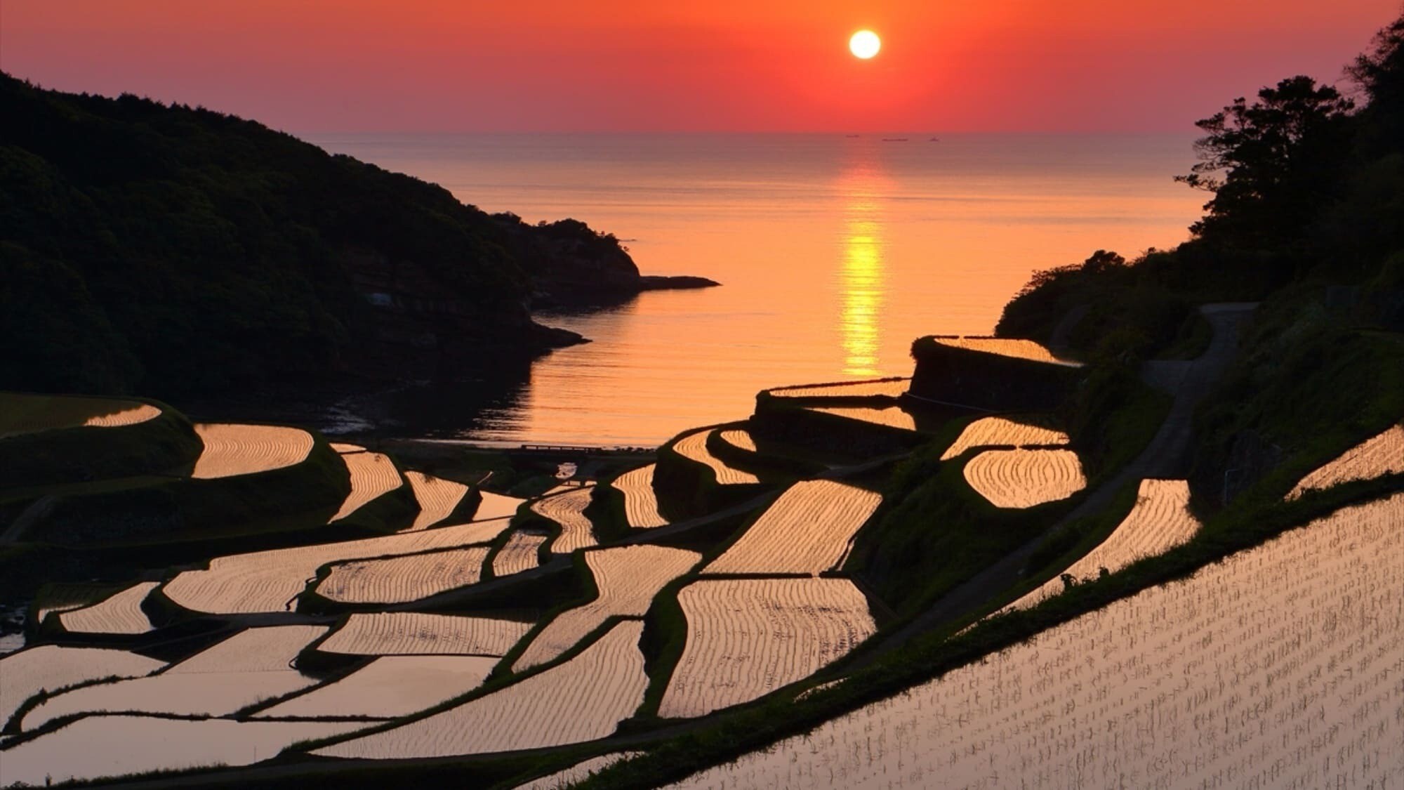 周辺観光／【浜野浦の棚田】4月中旬～5月上旬、水平線に沈む夕日は見どころ…当館から車で1時間20分