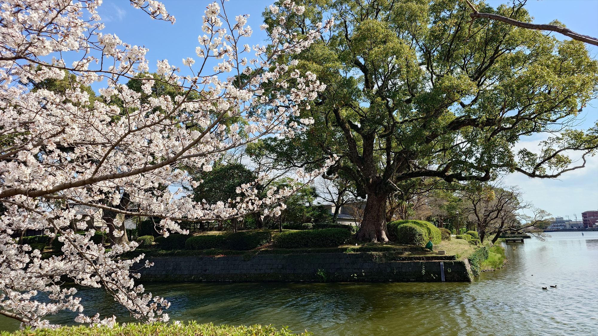 お堀端（春イメージ）