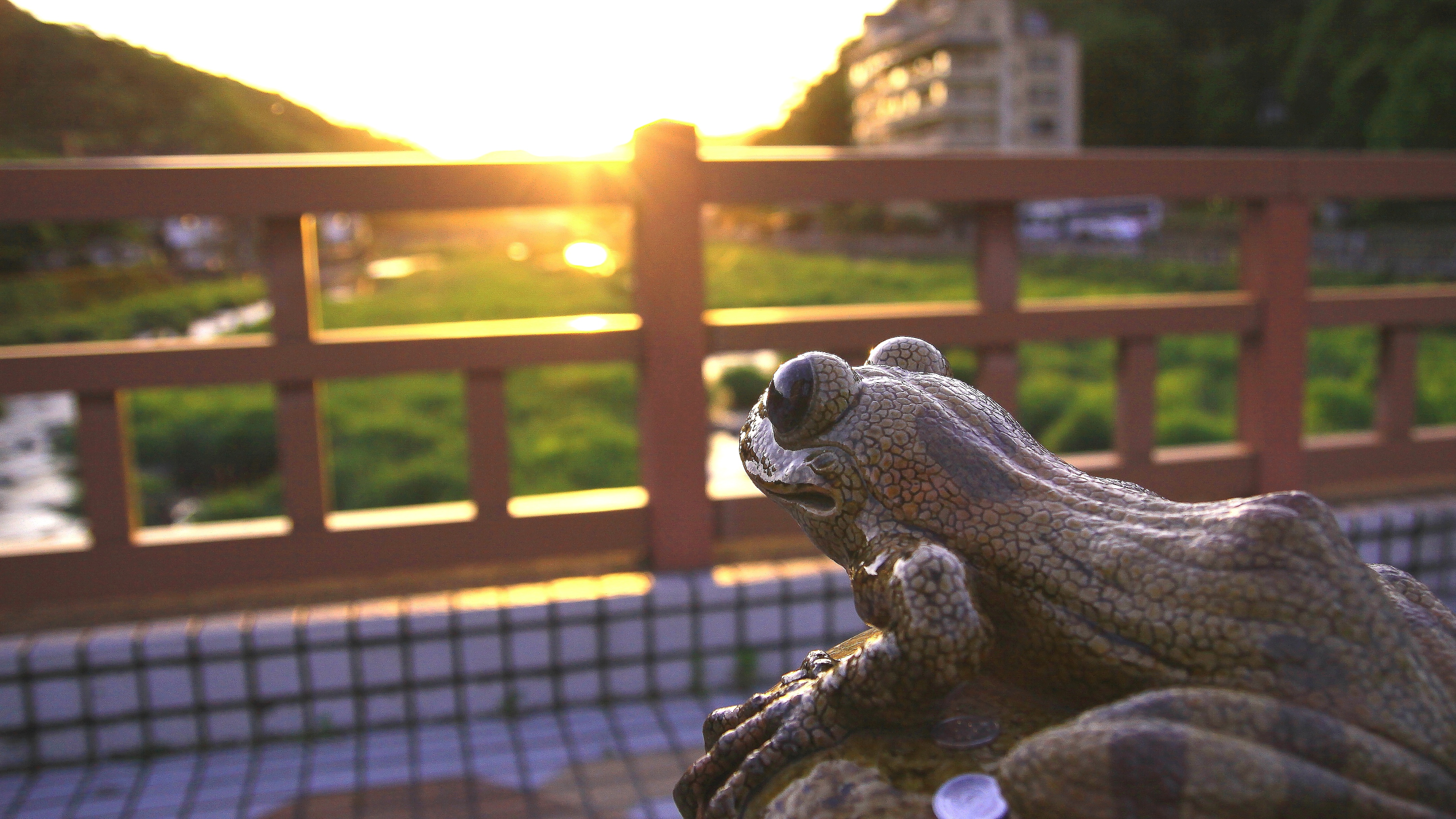 ■カジカ蛙のモニュメントと夕日