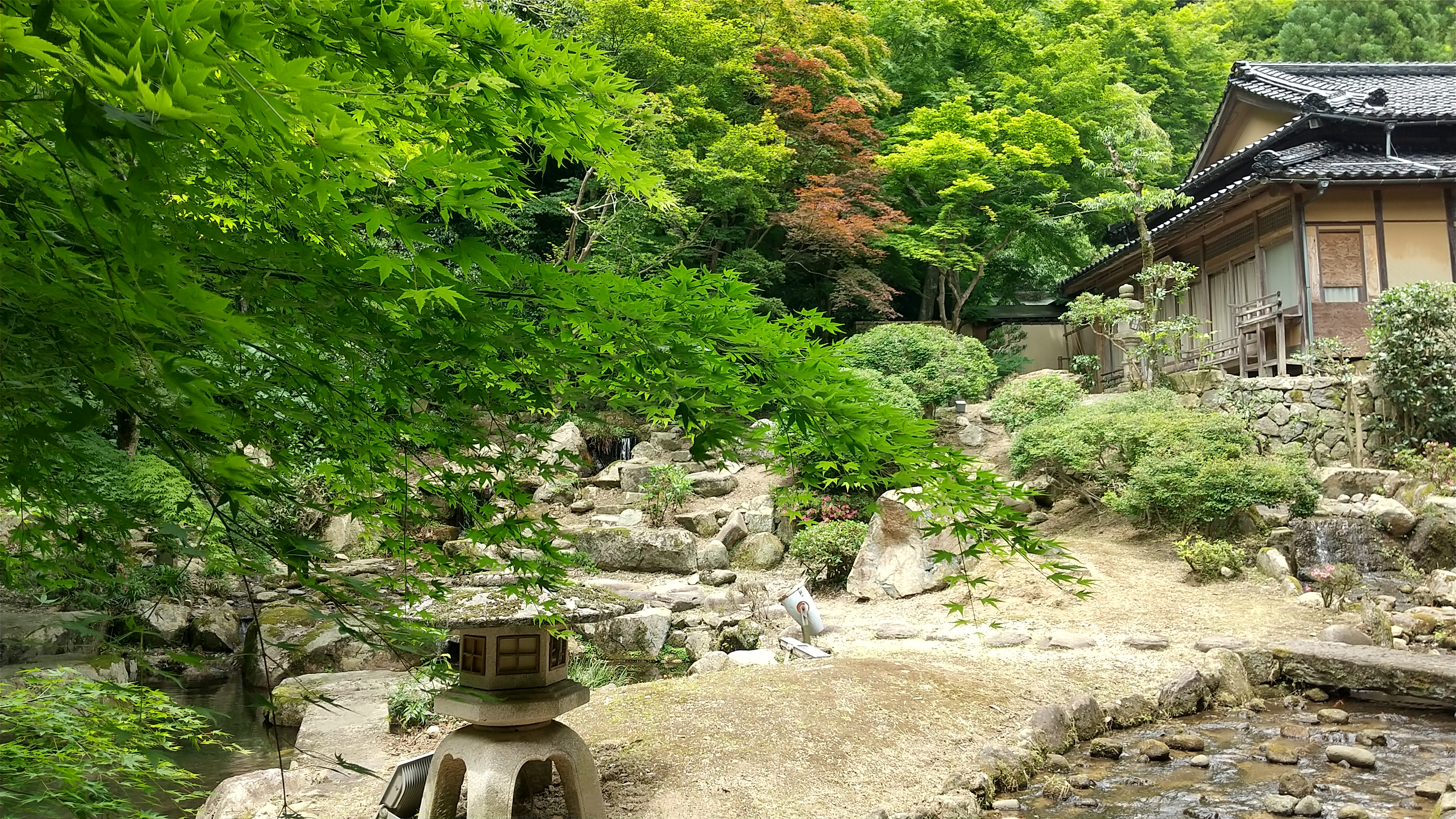 ■初夏の依水苑