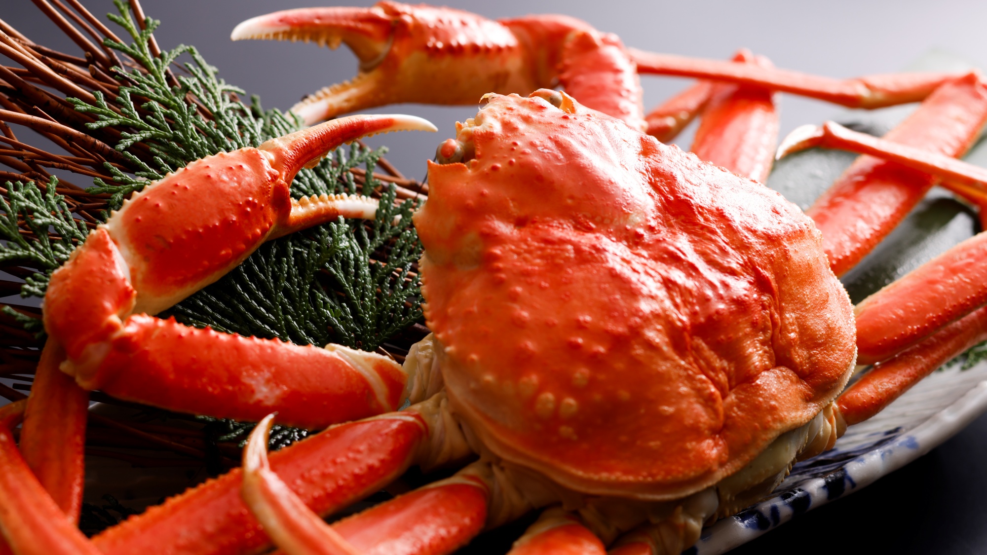 ■2025年冬　姿蟹一枚付き会席　ずわい蟹姿盛り