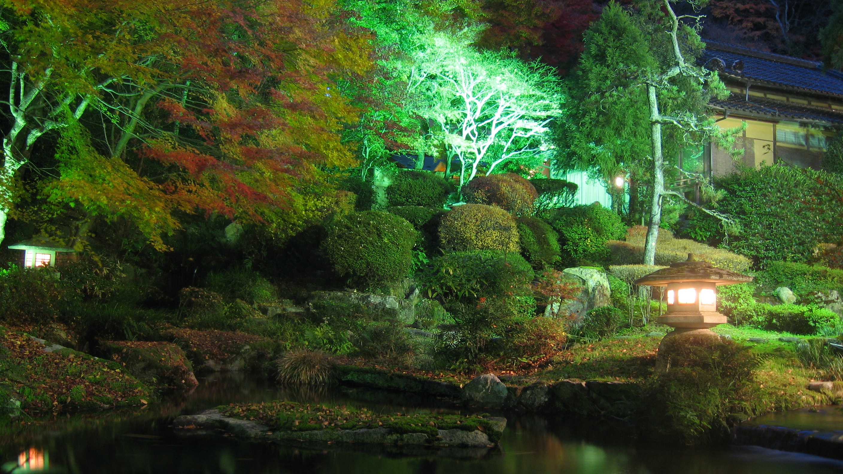 ■秋夜の依水園